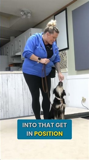 The Secret To Loose Leash Walking? Start INSIDE.