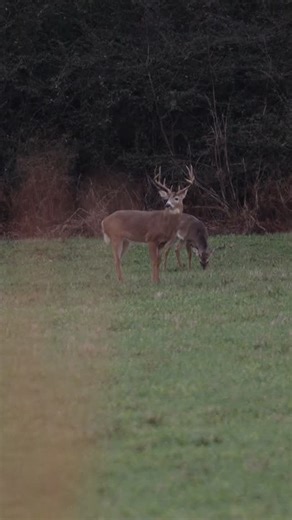 onX Hunt on Instagram: "Late-season southern whitetail hunting, with a little onX Hunt game planning and success. #onxhunt #deerhunting"