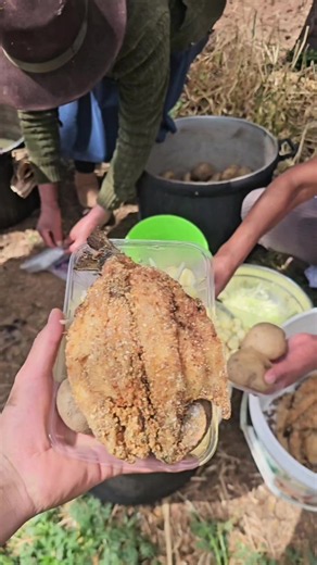 Asi es como la cocina nos une, estamos preparando trucha frita junto a mi comunidad 👌😋🇵🇪#miskizazo #campo #juanpi #uripamantapacha #uripa_apurimac