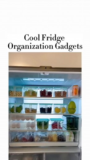 Chinese Housewives Fridge Organizer: Cool Gadgets for an Organized Kitchen