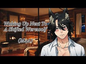 Waking Up Next To A Shifted Werewolf | ASMR Roleplay [M4A] [Tsundere Werewolf]