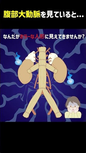腹部大動脈を見ていると