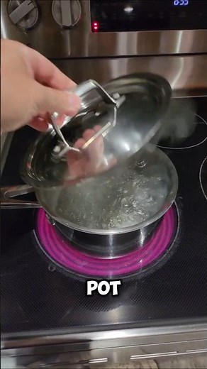 Cooking Baby Turtles? 🤢