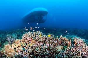 Submarine Dive Off Kona