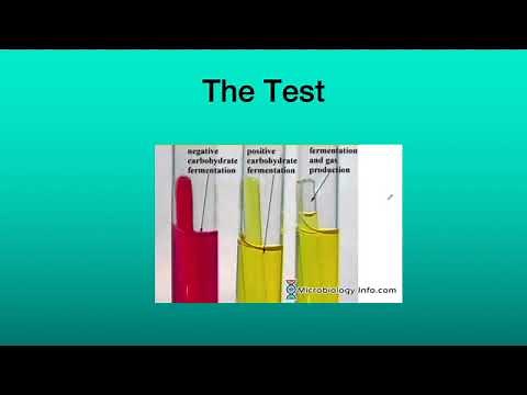 Phenol Red Test