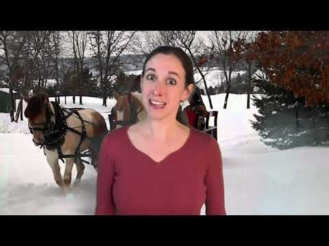 “Jingle Bells”- Julie McNamara Song Parody