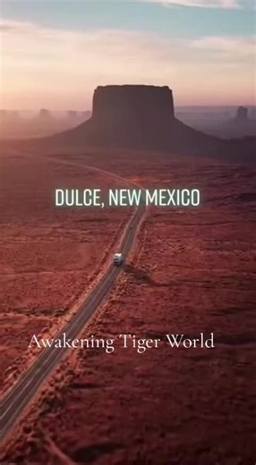 #WORK FORCE AT DULCE BASE – A STAGGERING NUMBER By Cherry Hinkle Priority 1987, I knew the known the actual large number of workers required to keep the work force active at Dulce Base. I also knew the size of the forty-mile wide circular base. To help you understand the large amount of men, women and non-human it requires numbers, and that is one thing I never really wanted to divulge, because when people see the numbers they refuse to accept the large numbers at “believable.” • Human Work Forc