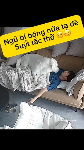 19K views · 97 reactions | 7378827097617206571 | Góc Nhỏ Review 1 | Facebook