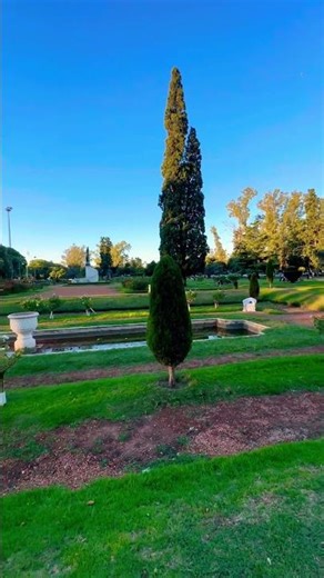 Le falta un poco de mantenimiento al Rosedal de la ciudad de #rosario #cities #travel #shorts #arg