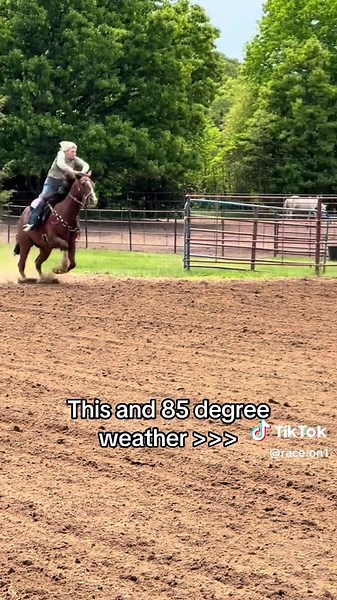 Exploring Barrel Racing with Bernie and His Horses