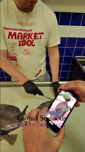 How to Cut Petrale Sole for Grill, Steaks & Fillets – Full Prep Process #PetraleSole #flatfish