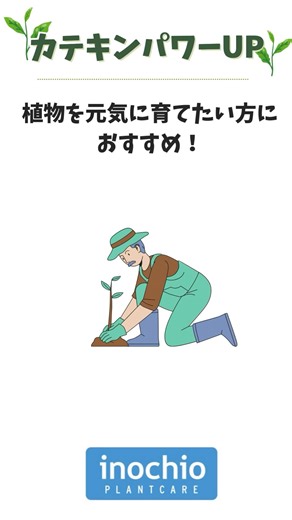 茶カテキンの力で生育をサポート｜カテキンパワーUP #農業 #植物 #野菜 #イノチオプラントケア#カテキンパワーUP #茶カテキン