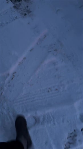 Excavator Operator Insights: Skills and Techniques