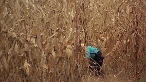 Kingpin 1996 Welcome to the movies and television