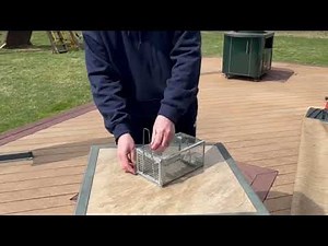 Kensizer Humane Rat Trap, Chipmunk Rodent Trap, The perfect chipmunk and mouse trap that just works!