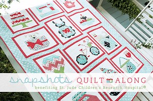 Snapshots Quilt-Along
