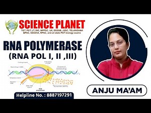 RNA Polymerase (RNA POL I, II ,III) by Anju Mam of Science Planet!