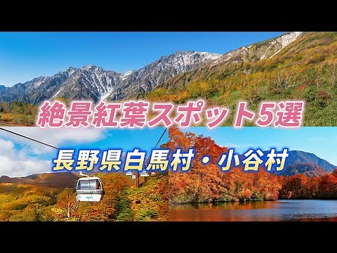 絶景紅葉スポット5選 ”長野県白馬村・小谷村”2025年見頃情報！