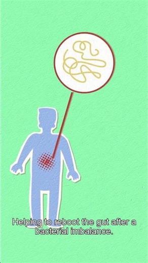 The Appendix Mystery
