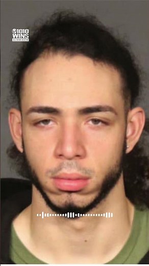 Brooklyn men accused of stalking and killing customer over 'weed money' face life in prison