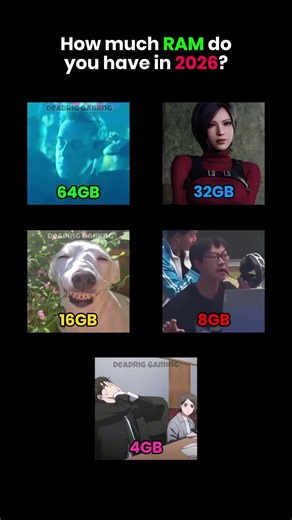 How much RAM do you have in 2026?