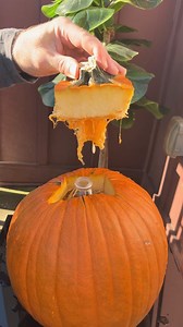 23K views · 387 reactions | When the trick is the treat  | Gallant Gravity | Facebook