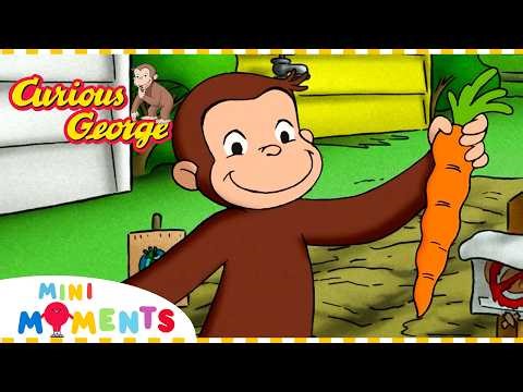 George's Perfect Carrot! 🥕 | Curious George | Mini Moments