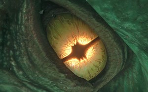 DOOM这过场动画震撼人心