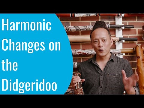 Harmonic Changes on the Didgeridoo