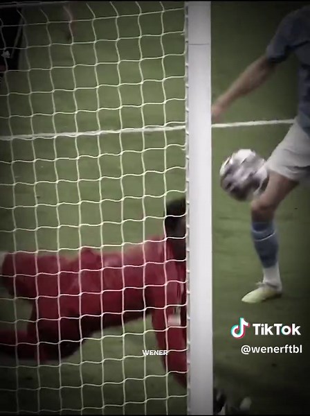 Incredible Goalkeeper Saves Compilation