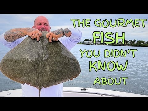 The GOURMET fish you didn't know about. BUTTERFLY RAY!!! Catch clean and cook