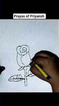 How to draw easy Rose flower 🌹 Rose drawing tutorial #shorts #drawing #rose #art #pancildrawing