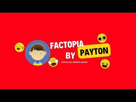 Factopia by Payton Live Stream