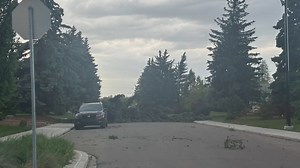 129 km/h wind blew through Edmonton region Thursday