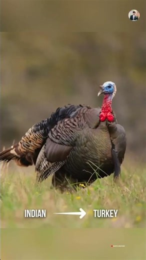 Do You Know😱😱 #latest #facts