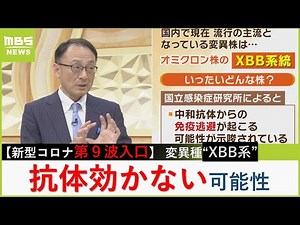 【新型コロナ第９波】 現在流行中の変異株『ＸＢＢ系統』は“免疫逃避”の可能性「ワクチンで獲得した抗体が効かなくなるかも」【MBSニュース解説】（2023年6月19日）