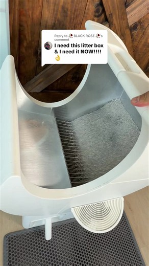Moon Litter Box automatic cat litter — Kickstarter final 48 hours