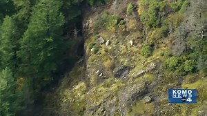 NTSB investigating after small plane en route to Idaho crashes