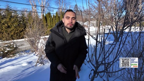 Garden Guide: How to prune your fruit trees for a great summer harvest!