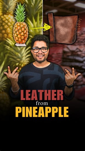 Turning Waste into Wonder! What if your next leather jacket didn’t harm animals or the planet? Here comes Ananas Anam! They’ve revolutionized the textile industry by creating Pinatex a sustainable leather alternative made from pineapple leaves, an agricultural waste product! How does it work? Pineapple leaves are collected from farms. Fibres are extracted and processed into durable, natural textiles. Farmers earn extra income while reducing waste. This innovation not only transforms fashion but
