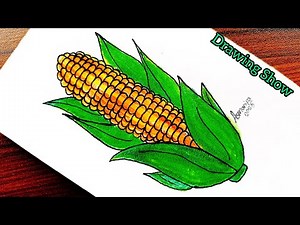 Corn Drawing for beginners || How To Draw Corn Easy