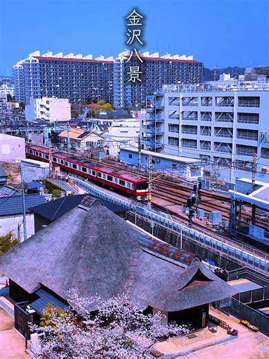 春の金沢八景 #金沢八景 #横浜市金沢区#京浜急行電鉄 #横浜シーサイドライン #金沢八景権現山公園