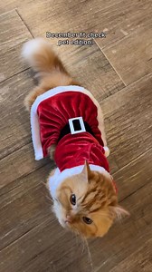 Santa Zorro and Santa Nacho are all set for Christmas! 🥹 | Christian Bautista