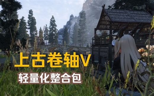 【上古卷轴5】老滚5轻量化整合，打造属于你自己的天际！