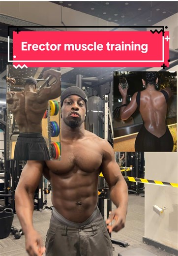 Effective Back Workouts for Strong Erector Muscles