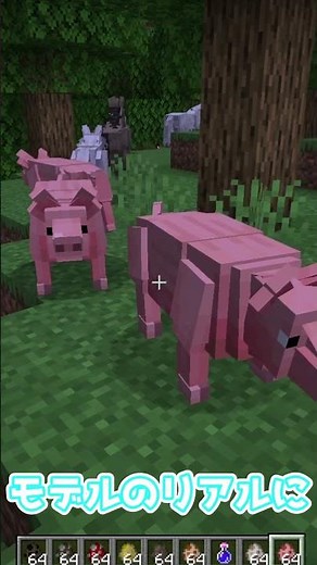 リアルの動物を見たい場合【Better Animal Models】mod入れる事で見た目が変化が起きて楽しむ幅が広がる！【ゆっくり解説】【マイクラMOD紹介】#shorts