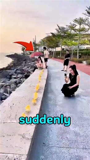 “You’ll Laugh at What These Ducklings Did! 😂🐥#shorts #ducklings