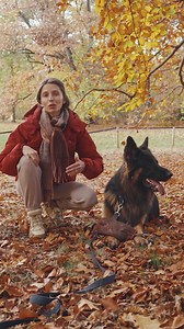 501K views · 5.8K reactions | Czy zabawa w szarpanie wywołuje...