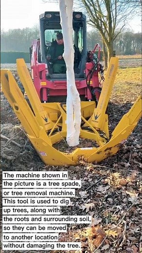Amazing Tree Spade in Action – Moving a Full-Grown Tree!
