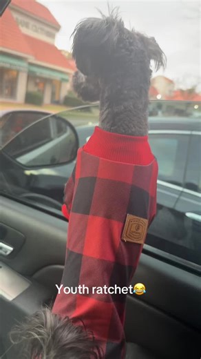 JJ's Ratchet Adventures in Pajamas